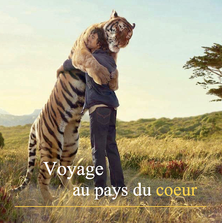 Voyage